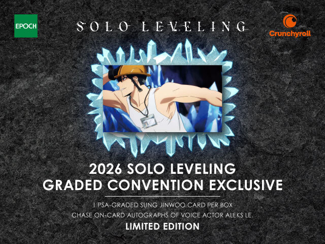 SOLOLEVELING PSA